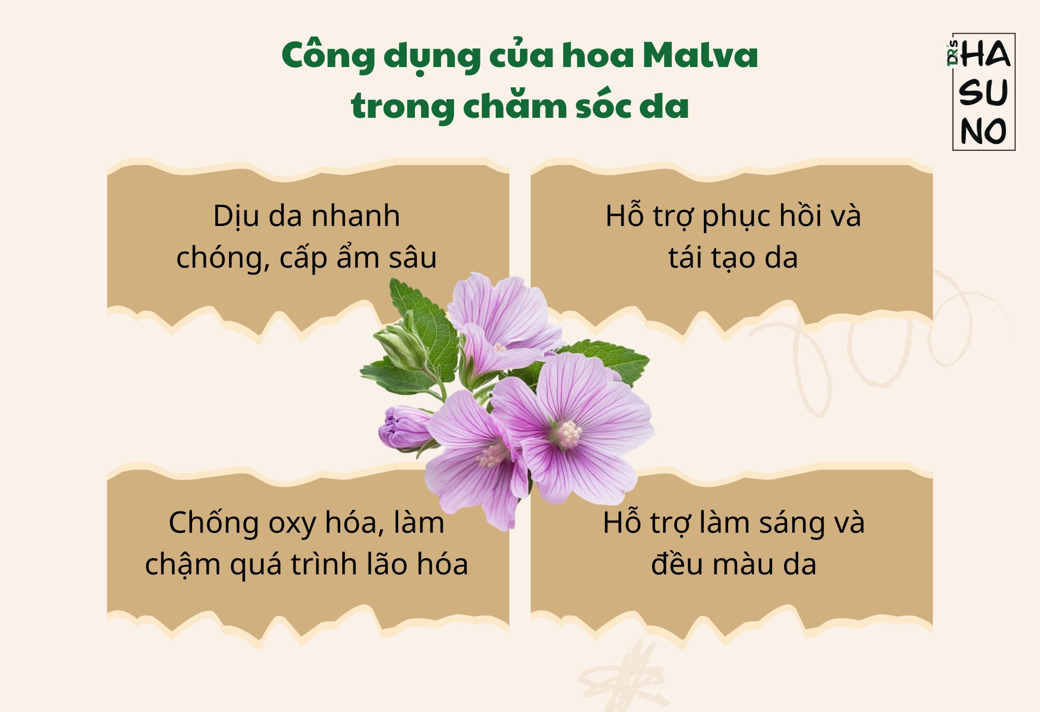Công dụng của hoa Malva trong chăm sóc da